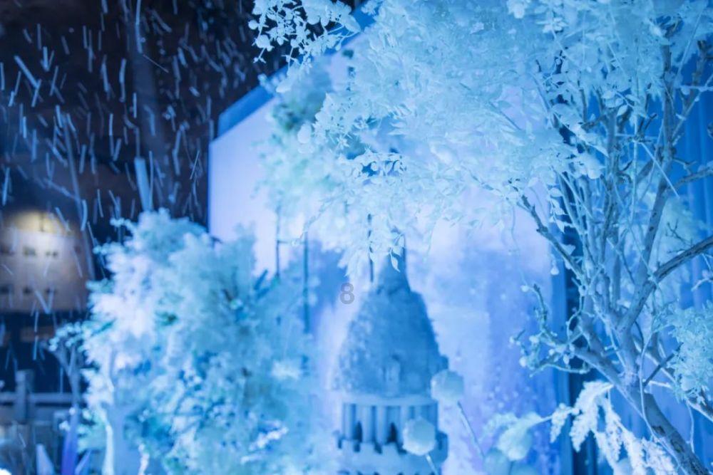 福建高校雪景来啦,请查收