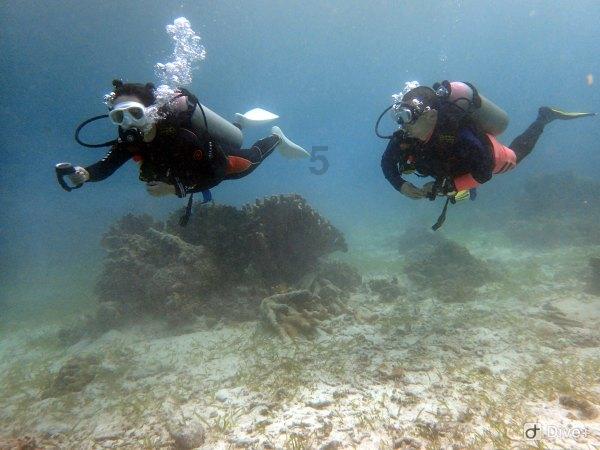 海盗寻宝记选关版