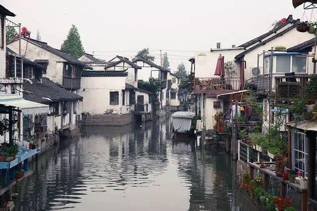 2024年新乡市网信办主任会议召开